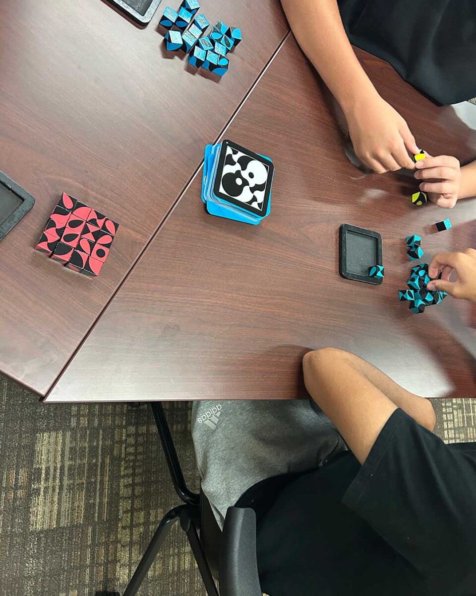 IMG-20250724-WA0008 copy