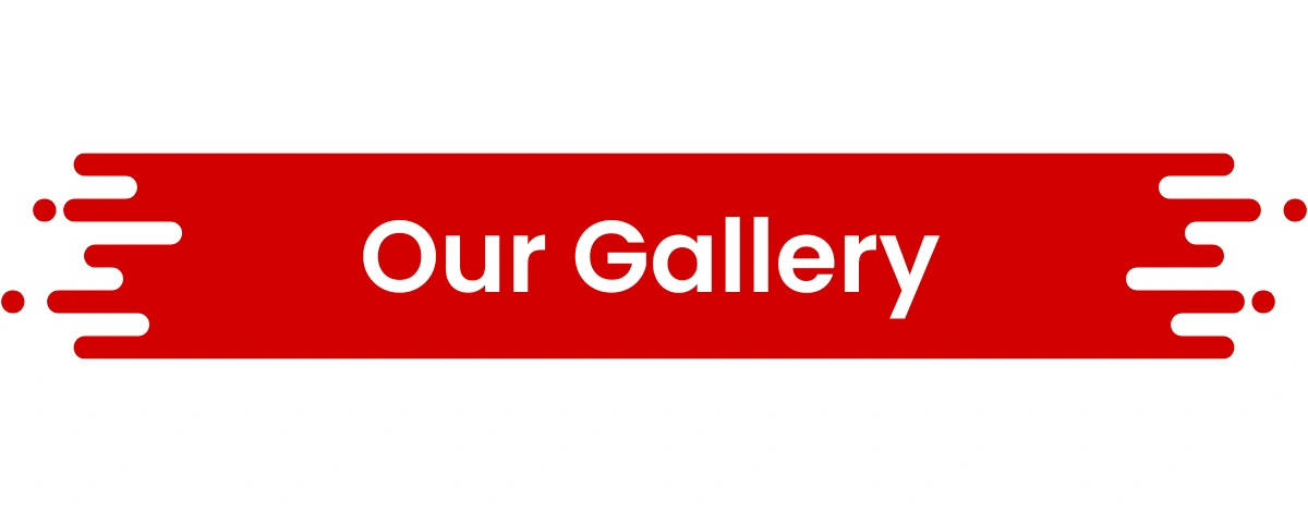 Our Gallery