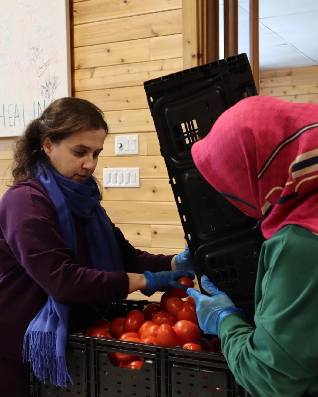 WhatsApp Image 2026-02-07 at 2.49.55 PM (2)