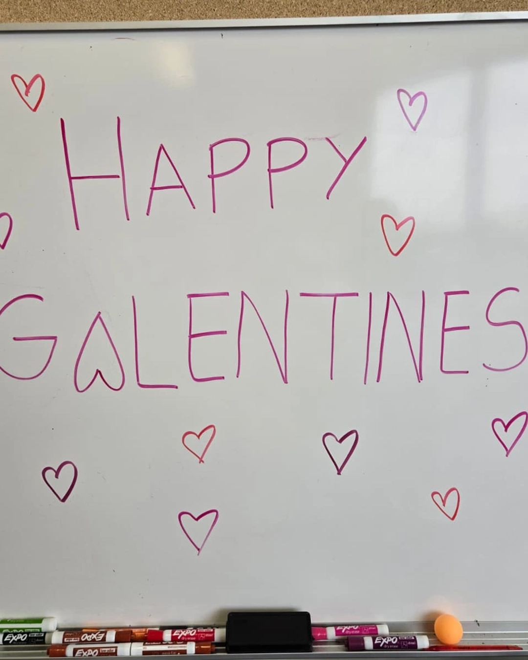 WhatsApp Image 202655502-06 at 12.48.50 PM