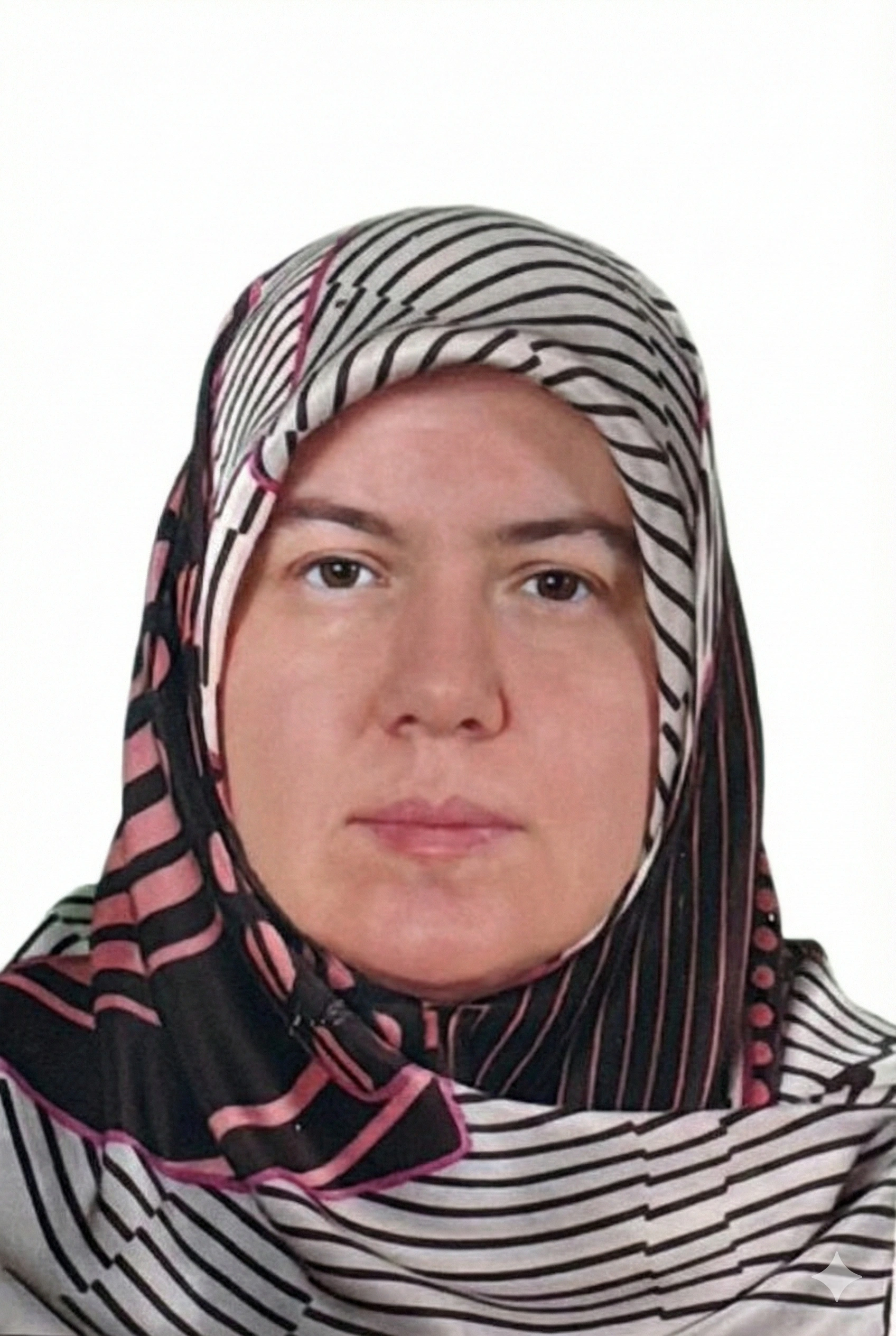 Beyhan Destici