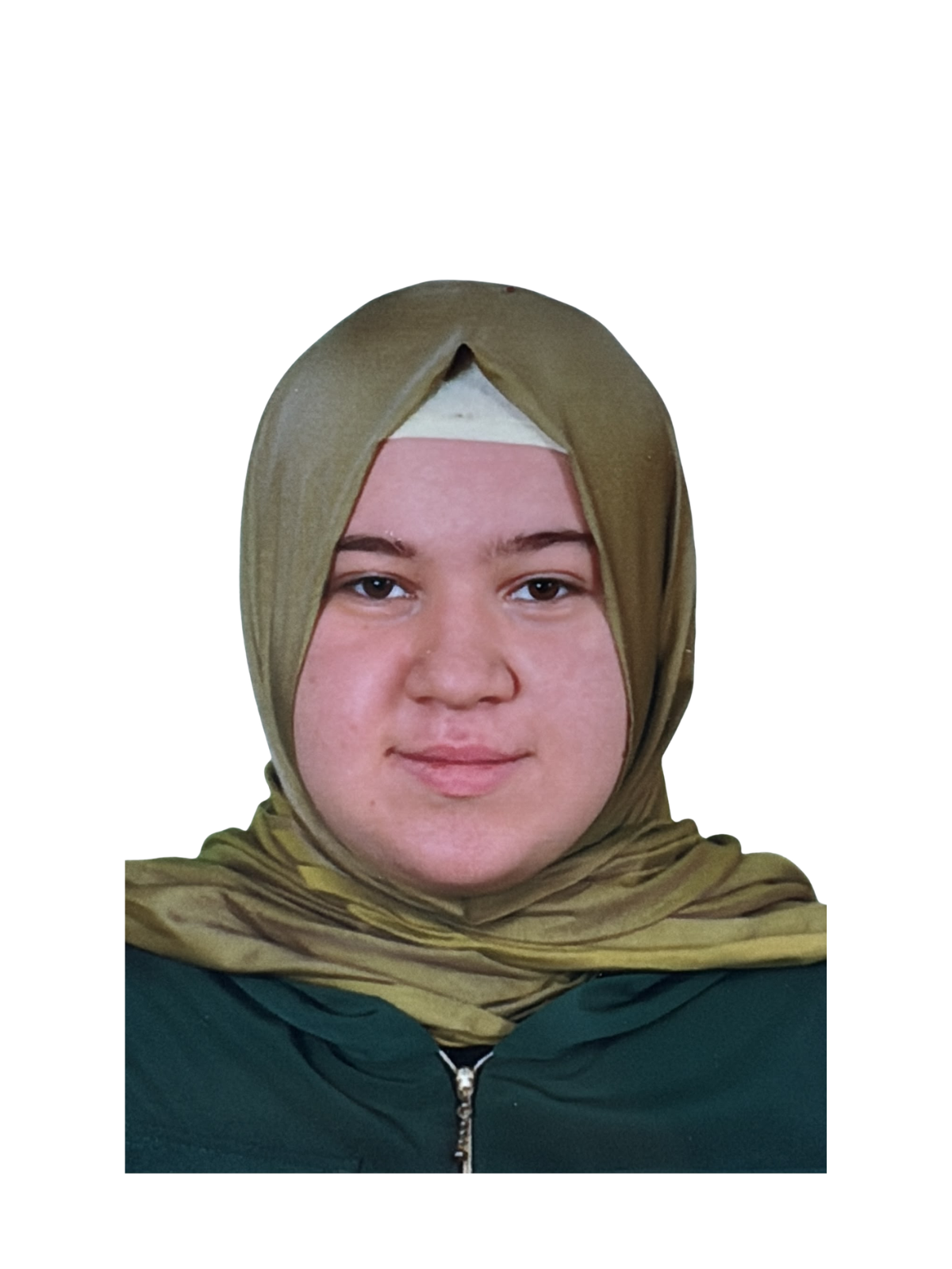 Nur Destici